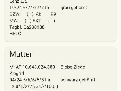 Bild 8:Blobeziegenkitz männlich