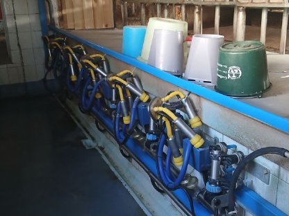 Melkstand Delaval