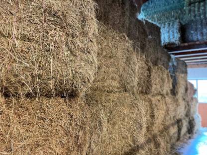 Bild 2:Bio Heu