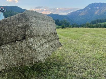 Top Bio Heu in Rund- und Quaderballen
