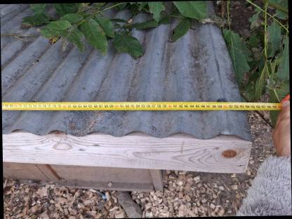 Bild 4:Hühnerstall/Entenstall isoliert