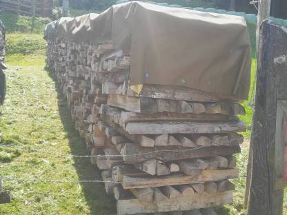 Brennholz zu verkaufen (Hartholz trocken)