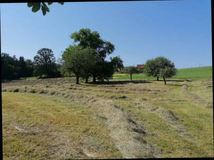 Bild 8:Heu Bzk. Voitsberg