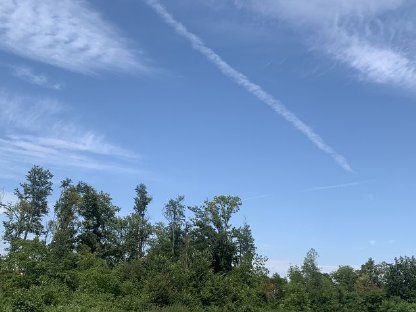 Waldgrundstück mit 6,8% Rendite