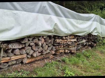Brennholz/Hartholz