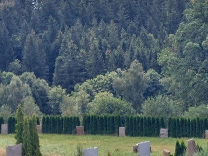 Bild 2:Verkaufe 2 ha Grund mit Stallgebäude