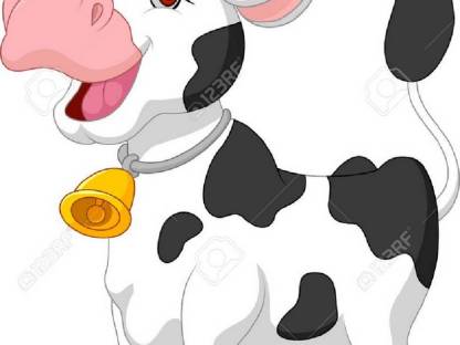Suche Kuh oder Kalbin trächtig oder in Milch