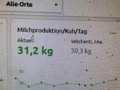 Siloballen 4. Schnitt 2024