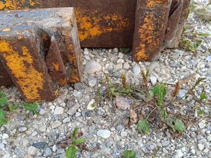 Bild 6:Gabelzinken 100x50 cm