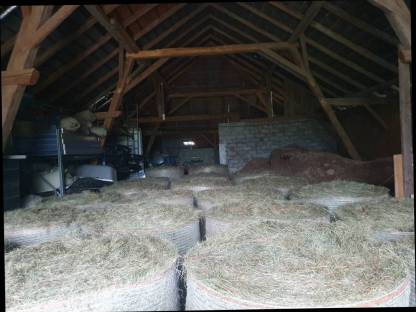 Bild 3:Bio Heu zu verkaufen ampferfrei mit Bio-Zertifikat