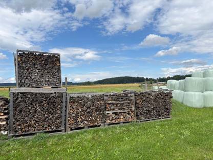 Bild 2:Brennholz hart