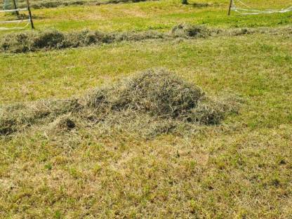 Bild 2:Kleine Heuballen