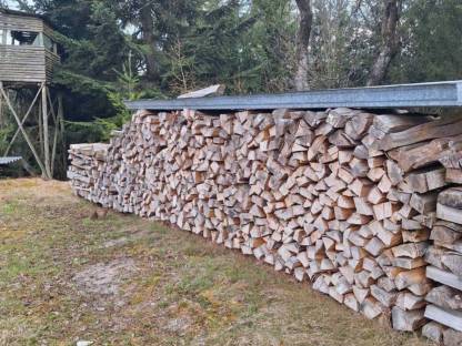 Bild 2:Brennholz Buche