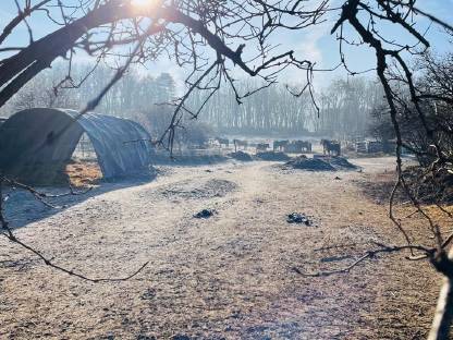 Bild 5:Einstellplätze im Weinviertel