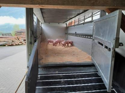 Bild 3:Mercedes LKW Antos 1843