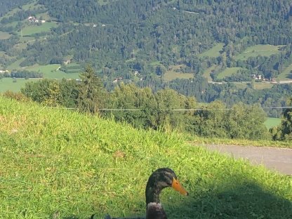 Bild 3:Rouen Clair-Enten