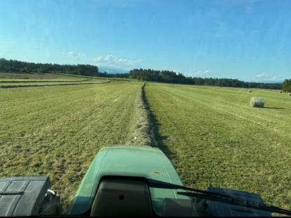 Bild 2:Bio-Heuballen