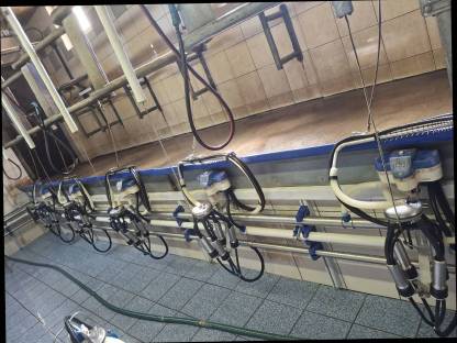 Bild 7:Mekstand und Milchtank