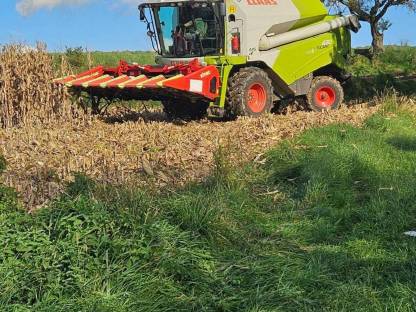 Bild 2:Lohndreschen Claas Tucano 430