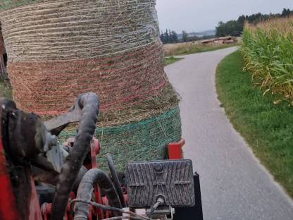 Bild 3:Grummet Ballen 2. Schnitt