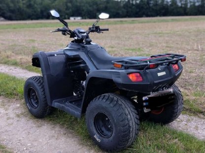 Bild 2:Quad Dinli 450R