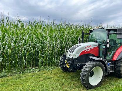 Bild 2:Bio Silomais ab Feld oder in Ballen