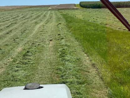 Bild 2:Heu Kleinballen