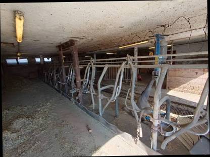 Bild 5:Aufstallung selbstfangend für 10 Bio-Rinder