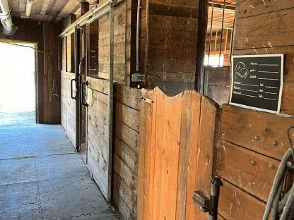 Bild 4:Einstellplatz Graz Selbstversorger Offenstall Paddock Box