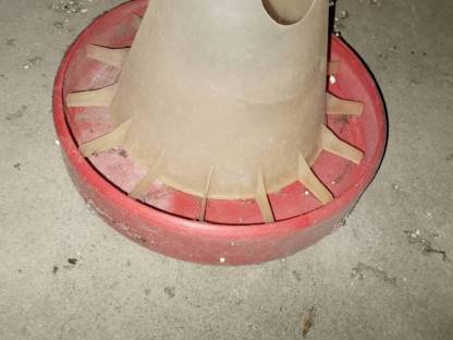 Bild 2:Hühner Futtertrog