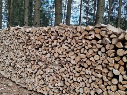 Bild 2:Brennholz