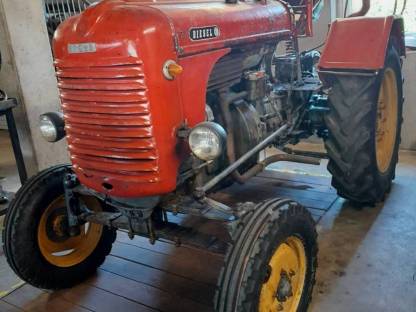 Bild 2:Steyr T182 Oldtimer Traktor
