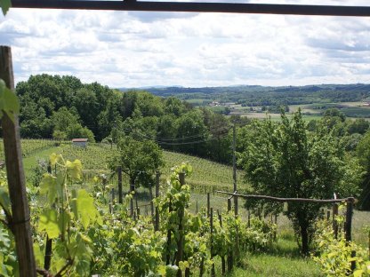 Bild 4:Rustikales Ferien-/Wochenendhaus auf wunderschönem Weinberg
