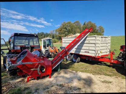 Bild 6:Lohnschneiden Brennholz