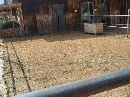 Bild 3:Einstellplatz Graz Selbstversorger Offenstall Paddock Box