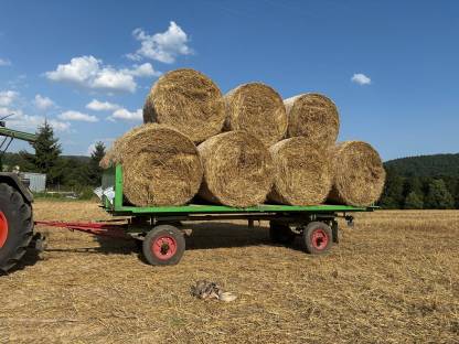 Stroh Weizen & Triticale - Rundballen
