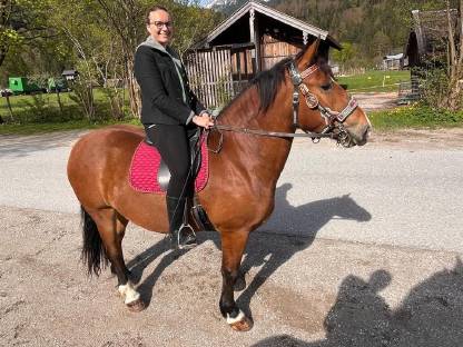 Bild 3:Süddeutsche Kaltblutstute