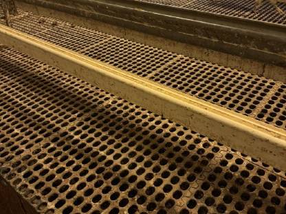 Bild 7:Legehennen-Stalleinrichtung