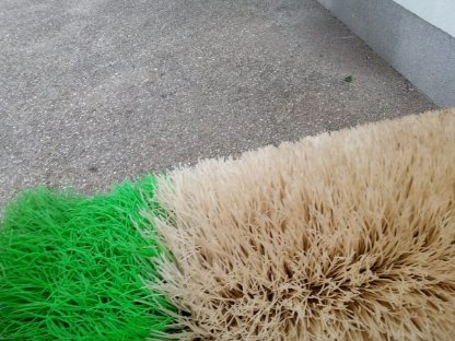 Bild 2:Rinder Putzbürste