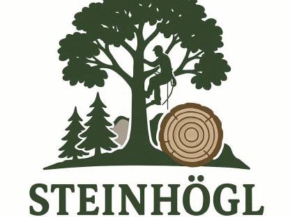 Bild 2:Spezialbaumfällung/Holzfällung