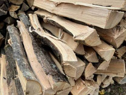 Bild 2:Brennholz