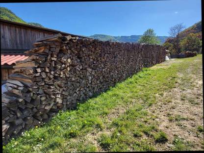Brennholz Buche