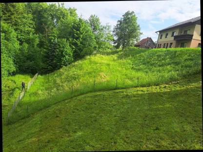 Bild 2:Mulcharbeiten, Mäharbeit, Böschungsmähen