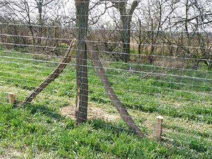 Bild 2:TORNADO Wildzaun, Wildschutzzaun, Wildschutz Zaun
