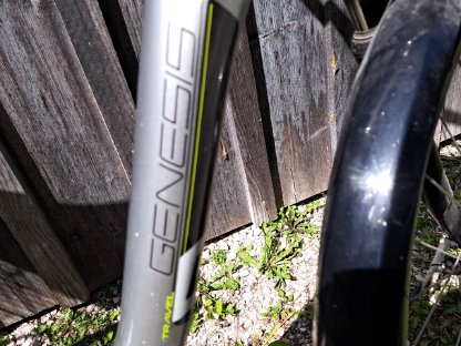 Damen E-Bike Simplon
