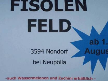 Fisolienfeld zum Selberpflücken