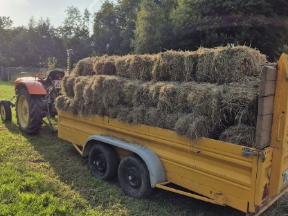 Bild 2:Kleine Heuballen, Quader-Heuballen, Ernte August 2025