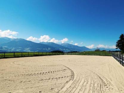 Bild 4:Pferde Einstellplatz