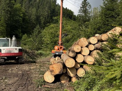 Bild 2:Holzschlägerung, Holzbringung - Bergauf, Umlauf, Bergab