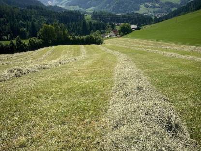 Bild 5:Heuballen 1. Schnitt 2025